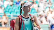 Рыбакина второй раз подряд проиграла крупный финал в США