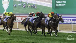 Скакун-чемпион из Казахстана выступил в "гонке года" с призом в три миллиарда