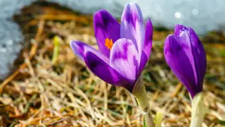 Долгожданное тепло приходит в Казахстан