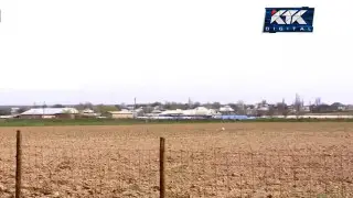 "Все высыхает, весь наш труд": на засуху пожаловались фермеры на юге Казахстана