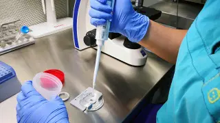 "Баланың фотосуретіне, руына қарап таңдауға болады". Елімізде ұрық саудасындағы сұраныс қандай?