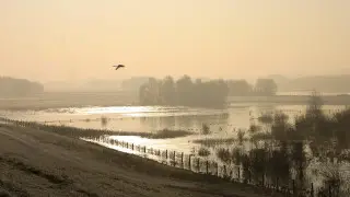 Какие меры поддержки будут оказаны пострадавшим фермерам со стороны АКК и КАФ