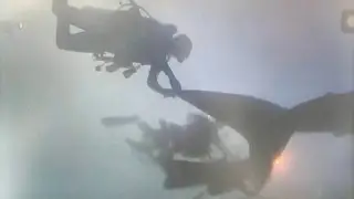 Туриста оштрафовали на крупную сумму за прикосновение к акуле в Таиланде