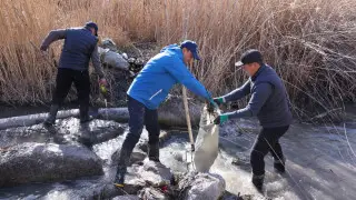 Почти 3 тысячи тонн мусора вывезли во время массового субботника в Жамбылской области