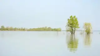 В российском регионе ввели режим ЧС из-за паводка