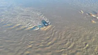 Паводки в Казахстане: Бозумбаев доложил о ситуации в регионах