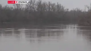 Уровень воды в реке Урал приблизился к отметке в семь метров