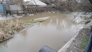 Су тасқыны кезінде тамақтан улану мен жұқпалы аурулардың алдын алу үшін не істеу керек?