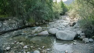 Новую национальную службу создадут в Казахстане