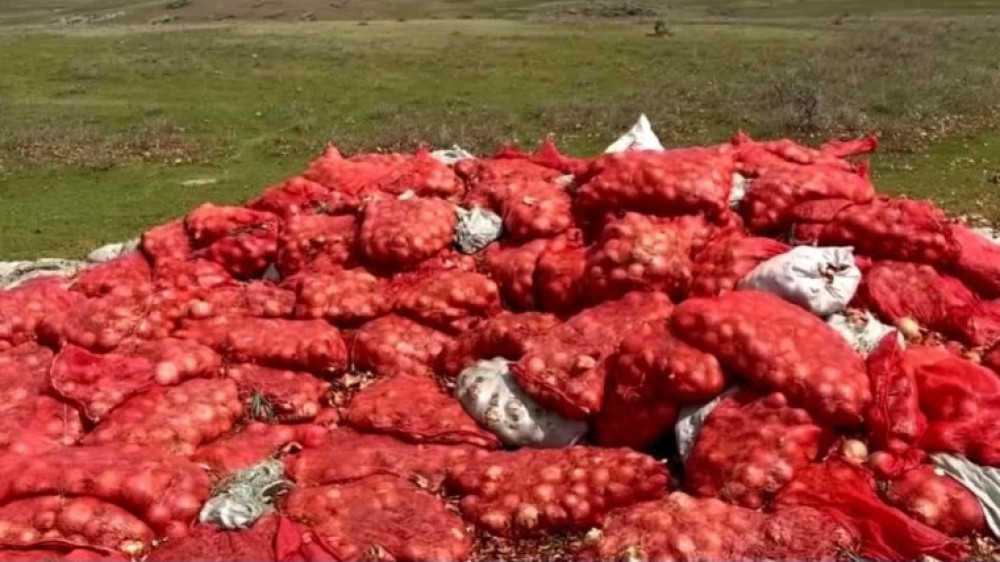 Тонны гнилого лука выкинули в горах Жамбылской области