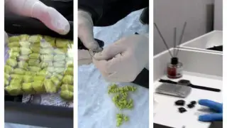 Спецоперация полиции Казахстана: ликвидированы ОПГ