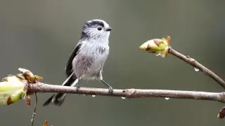 Тепло до 26 градусов и снег: погода в Казахстане на сегодня, 10 апреля