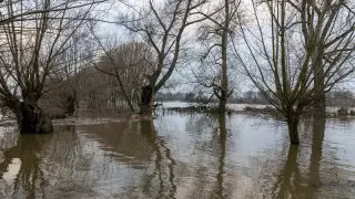 Как Beeline помогает казахстанцам в регионах с ЧС