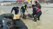 Тело мужчины вынесло потоком воды в Кульсары