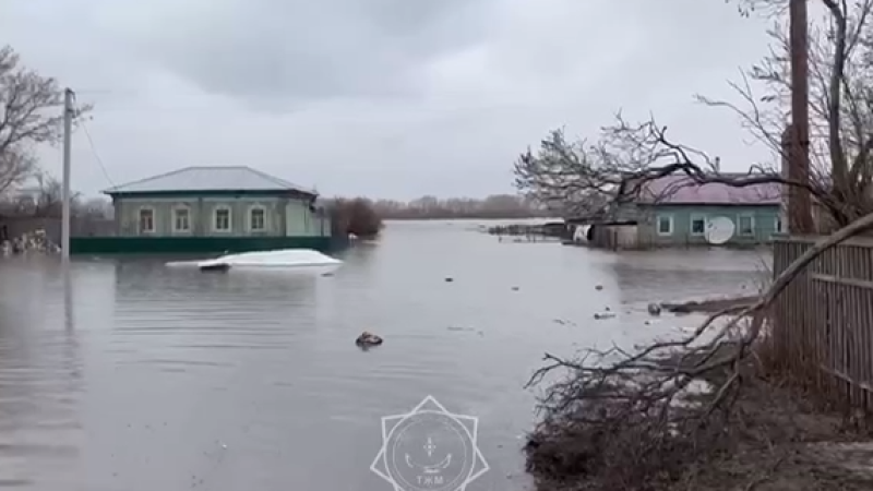 кадр из видео/МЧС