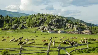 Государству вернули земли на 2,1 миллиарда в Павлодарской области