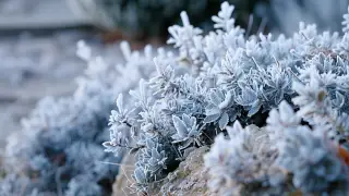 Морозы до 13 градусов придут в Казахстан