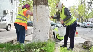 В Шымкенте проходит акция "Таза Қазақстан"