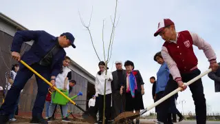Дархан Сатыбалды призвал туркестанцев поддержать акцию "Чистый Казахстан"