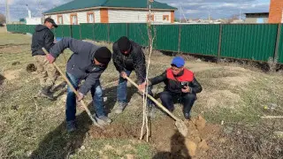 "Чистота начинается с семьи": экоакция "Таза Қазақстан" проходит в области Абай