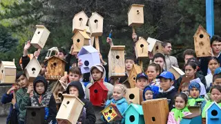 Детский handmade: Алматинские школьники сделали более тысячи скворечников