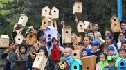 Детский handmade: Алматинские школьники сделали более тысячи скворечников