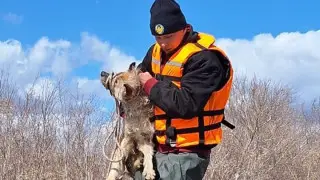 "Сил и средств достаточно" - акимат о второй волне паводков в СКО