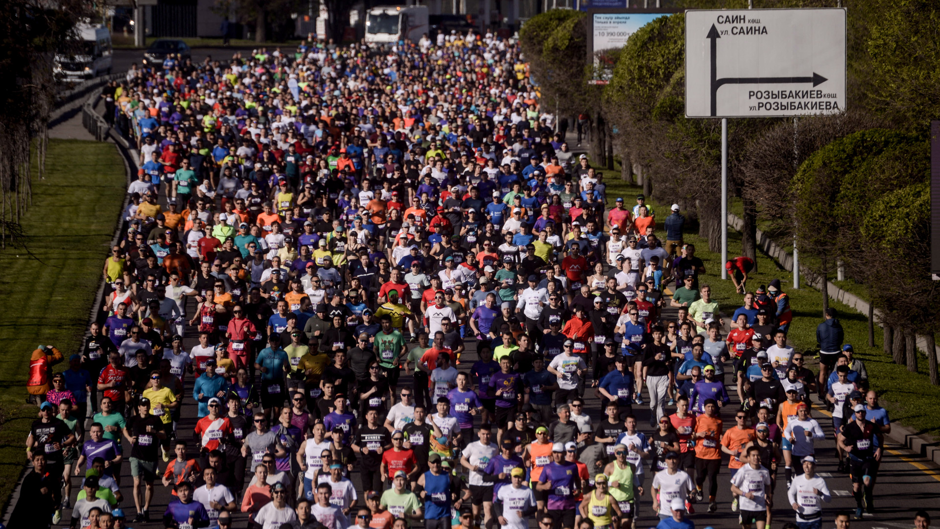 Almaty Half Marathon: 21 апреля будет перекрыта часть дорог: 18 апреля 2024  15:05 - новости на Tengrinews.kz