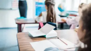 "Школьники отравились краской": на информацию ответили в акимате Алматинской области