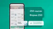 Все по полочкам: что такое налоговая отчетность ФНО 250 и почему важно ее сдавать