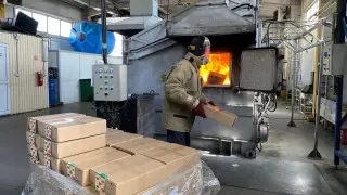 Опасный вирус нашли в семенах помидоров, завезенных в Казахстан