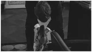 Подарок Токаева: новое фото Макрона с казахской тазы появилось в сети