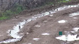 "Ұшақ сатып алудан басқа амал қалмады". Алматы облысының тұрғындары жанайқайын жеткізді