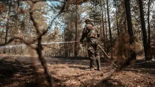 На тушение лесного пожара в области Абай брошены дополнительные силы