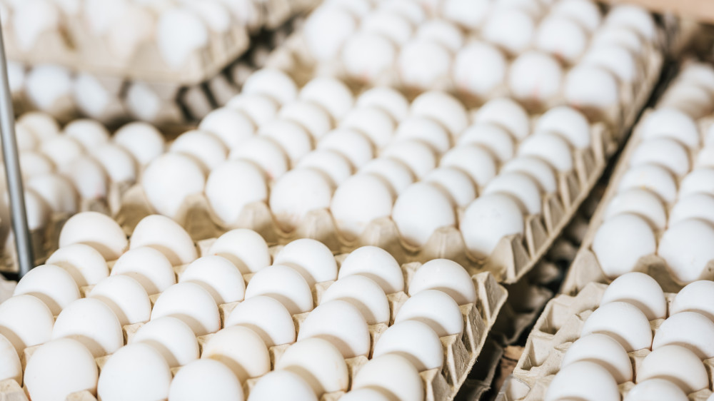 Минсельхоз ввел временный запрет на ввоз куриных яиц в Казахстан