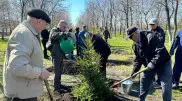 19,5 тысячи саженцев деревьев высадили в СКО в рамках республиканской акции