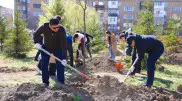Новые аллеи и скверы: представители посольств участвуют в масштабной экоакции в Астане