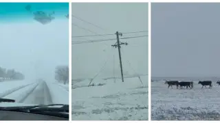 Снег выпал на юге Жамбылской области
