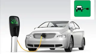 Казахстанские водители электромобилей выступили против зеленых наклеек