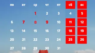 Как будут работать ЦОНы и спецЦОНы в праздничные дни