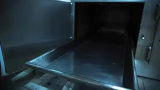 Подозреваемого в некрофилии мужчину задержали в Алматы