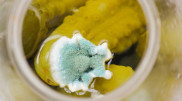 Что будет, если съесть продукты с плесенью