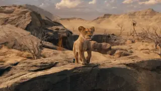 Трейлер "Муфаса: Король Лев" посмотрели три миллиона раз