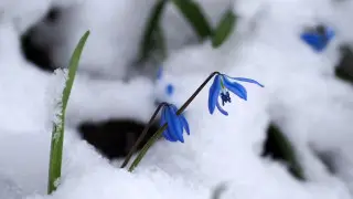 Снег и ветер до 108 километров в час: погода в Казахстане на сегодня, 1 мая