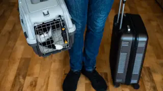 Как перевозить питомцев на поезде в Казахстане