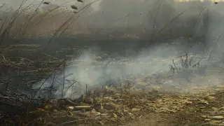 Синоптики предупредили жителей Алматы и еще 11 регионов