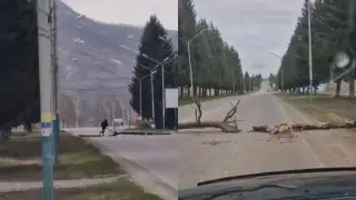 Двое нетрезвых жителей ВКО перекрыли автодорогу бревнами