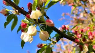 Синоптики обрадовали казахстанцев перед праздниками