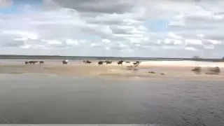 Паводки в Казахстане: три моста построят в ЗКО