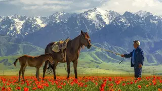 "Проснется знаменитым": фотосессия чабана из Жамбылской области